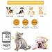 Pet Glucose Meter with 50 Test Strips（URIT-80Vet）