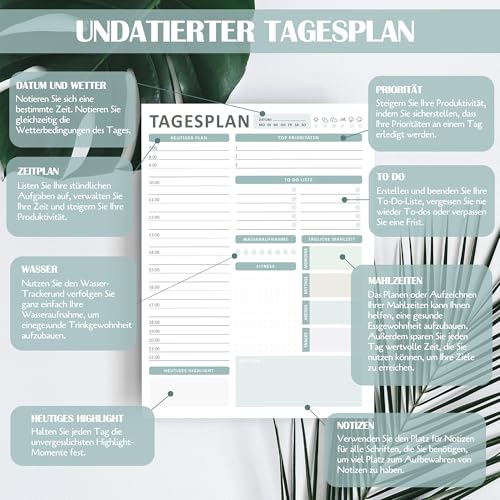 BIROYAL Daily Planner Pad DIN A4 without Fixed Date (50 Pages), Tasks, Appointments, Notes & Ideas - Image 2