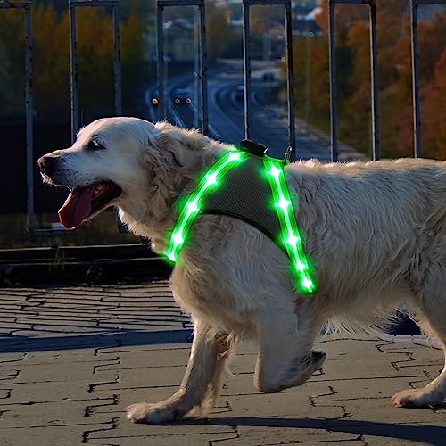 ChalkLit LED Hundegeschirr, Leuchtendes Wiederaufladbares Beleuchtetes Reflektierendes Hundegeschirr Leuchtet Im Dunkeln, LED Hunde-Sicherheitswestenlichter für Nachtspaziergänge (Grün, L)