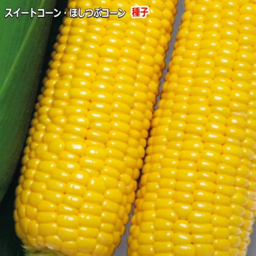 メロジョイ ノントースト 星月夜 ゴッホ 星5レア 和食