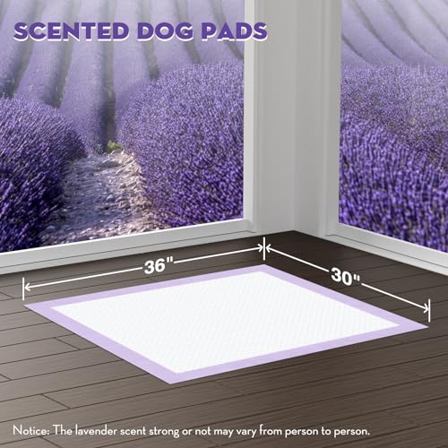 Image of CROCI Dog Pads Extra Large 30x36in, Puppy Pads with Adhesive Tabs Super Absorbent Up to 10 Cups, Disposable (40 Counts)