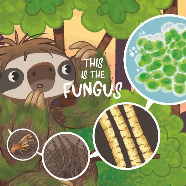 Sloths and their Moths