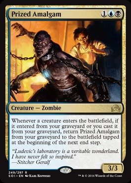 Amazon.co.jp: Magic: the Gathering - Prized Amalgam (249/297