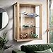 Produktbild K-Möbel Hängevitrine Glas (80x60x25cm) - Made in Germany - Glasvitrine hängend mit 2 höhenverstellbaren Glasböden aus ESG in Buche - Schrank mit Glastüren - Wandvitrine - Display Cabinet