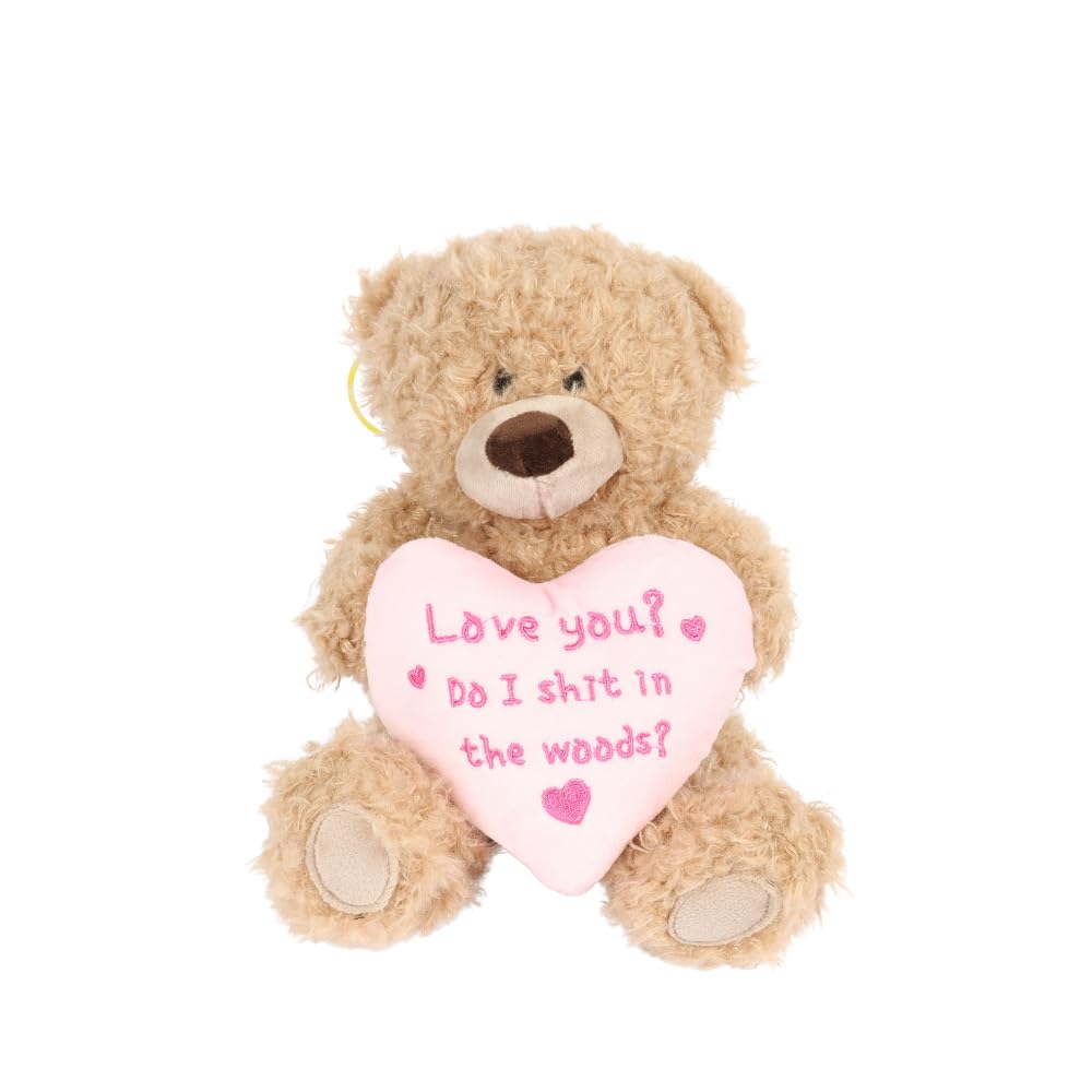 Cheeky Plush Teddy Bear 20cm – Hilarious Valentine's or B'day Gift! Soft Cuddly Bear Holding Heart or Star with Rude Sassy Message – Funny Gift for Boyfriend Girlfriend or Bestie (Love you?)