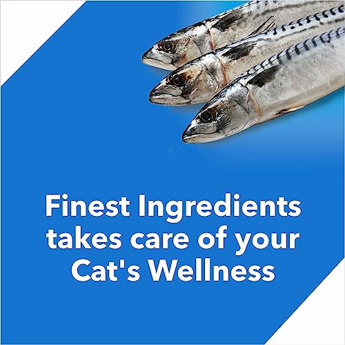 Image of Drools Adult Dry Cat Food Ocean Fish 1.2kg Pack