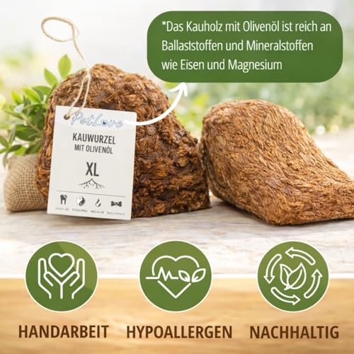 PetLove Kauwurzel für Hunde aus Baumheide • Natürliches Kauspielzeug hypoallergen • Kauknochen ohne Zusätze, ohne Kalorien, ohne Chemie • Größe: XS (50-124g) • Für Welpen