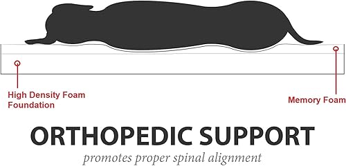 Miniatura 5 de Dogbed4less Cama de espuma viscoelástica para mascotas pequeñas a medianas y grandes con cubierta interna impermeable, cubierta externa negra de