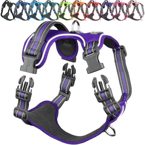 VIVAGLORY Easewalk Hundegeschirr, Anti Zug Hundegeschirr für Training & Spazieren, Anti Zieh Geschirr Welpengeschirr Mit Griff, Ausbruchsicher & Non-Stop für Welpe Hunde, XS, Lila - Patterned