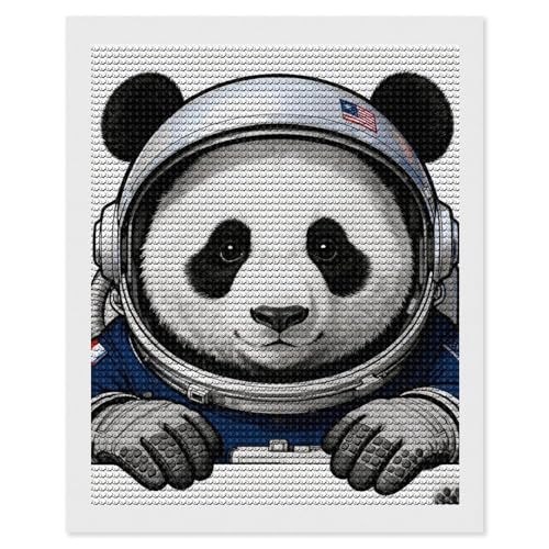 Kit broderie diamant 5D maccbn toile 40x50 loisir créatif adulte et matériel de perçage