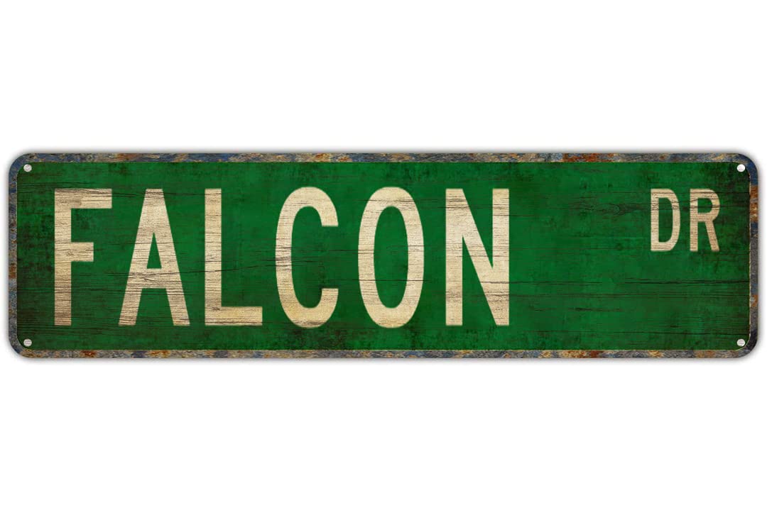 FALCON DR Vintage Tin Signs Art Plaque Aluminum for Bedroom Kitchen Garden Wall Bar Club Coffee Hanging Home Decor 4x16 Inch