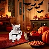 Zoom IMG-2 pet costume outfit funny puppy Zoom IMG-2 pet costume outfit funny puppy