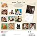 Maine Coon Cats | 2026 12 x 24 Inch (Hanging) Monthly Square Wall Calendar | Plastic-Free | BrownTrout | Animals Feline Kittens