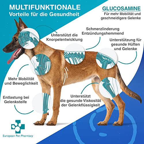 European Pet Pharmacy Grünlippmuschel Hund 250 g Glucosamin Pulver — Nahrungsergänzungsmittel Hund – Für Intakte Gelenke Hunde und Katze – Probiotisches Alantin, Vitamin C, Alter 5+ Monate