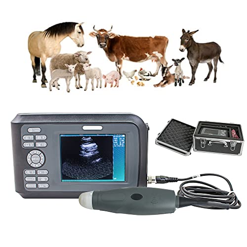 Current Solutions DQ9275W5 5 cm Soundcare Plus Wand