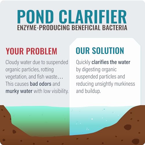 Pond Clear Water Treatment - 16 Pack for 8 Months of Pond Cleaner Supply - Pond Clarifier for Outdoor Ponds – 100% Natural Pond Bacteria Packets - Made in The USA - Safe for Fish, Pets, and Swimming - Image 4