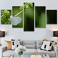 SIGNWIN 5 Panel Canvas Wall Art Birds Butterfly Closeup Colorful Contemporary Home Office Modern Art Multicolor Photography for Home Decorations Ready to Hang - 60