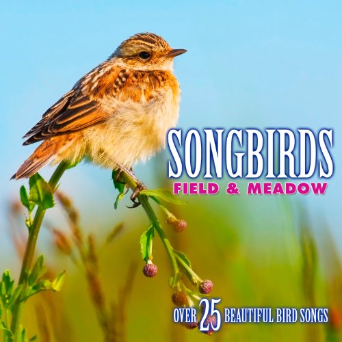 Songbirds Field & Meadow Over 25 Beautiful Bird Songs