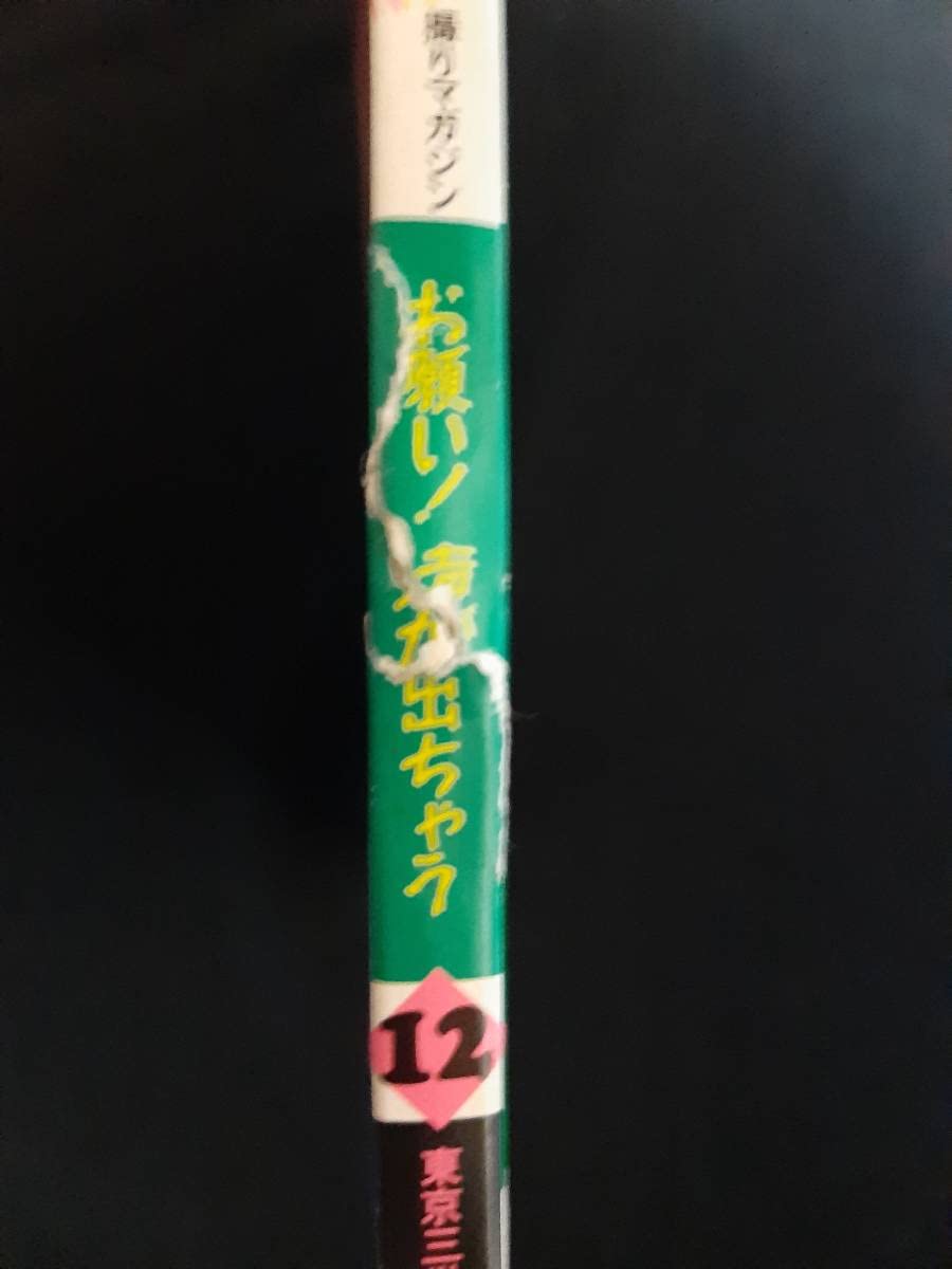 諏訪野 しおり 全裸 Amazon.co.jp: セーラーメイト 1992年12月 諏訪野しおり 秋吉ミク匿名 : おもちゃ