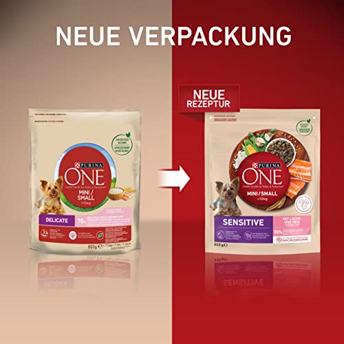 PURINA ONE Mini/Small Delicate Hundefutter trocken für kleine Hunde, reich an Lachs & Reis, 8er Pack (8 x 800g)