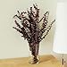 NETTLETON HOLLOW Red Eucalyptus Branches, 16 Oz.