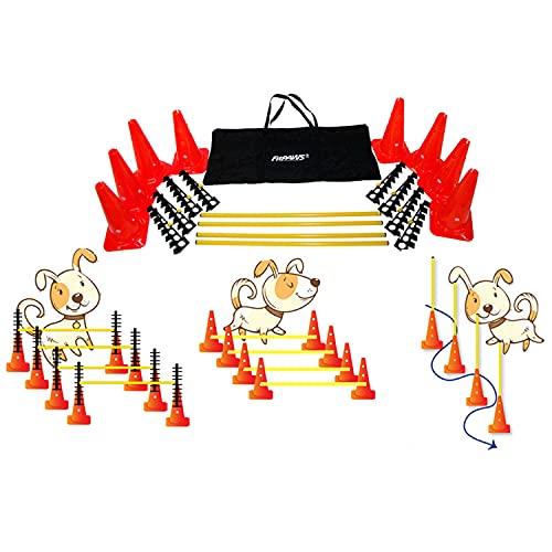 Best Dog Agility Equipment Selection Guide Hellow dog