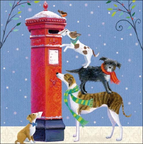 Charity Christmas Cards - (wdm-421785) - magical