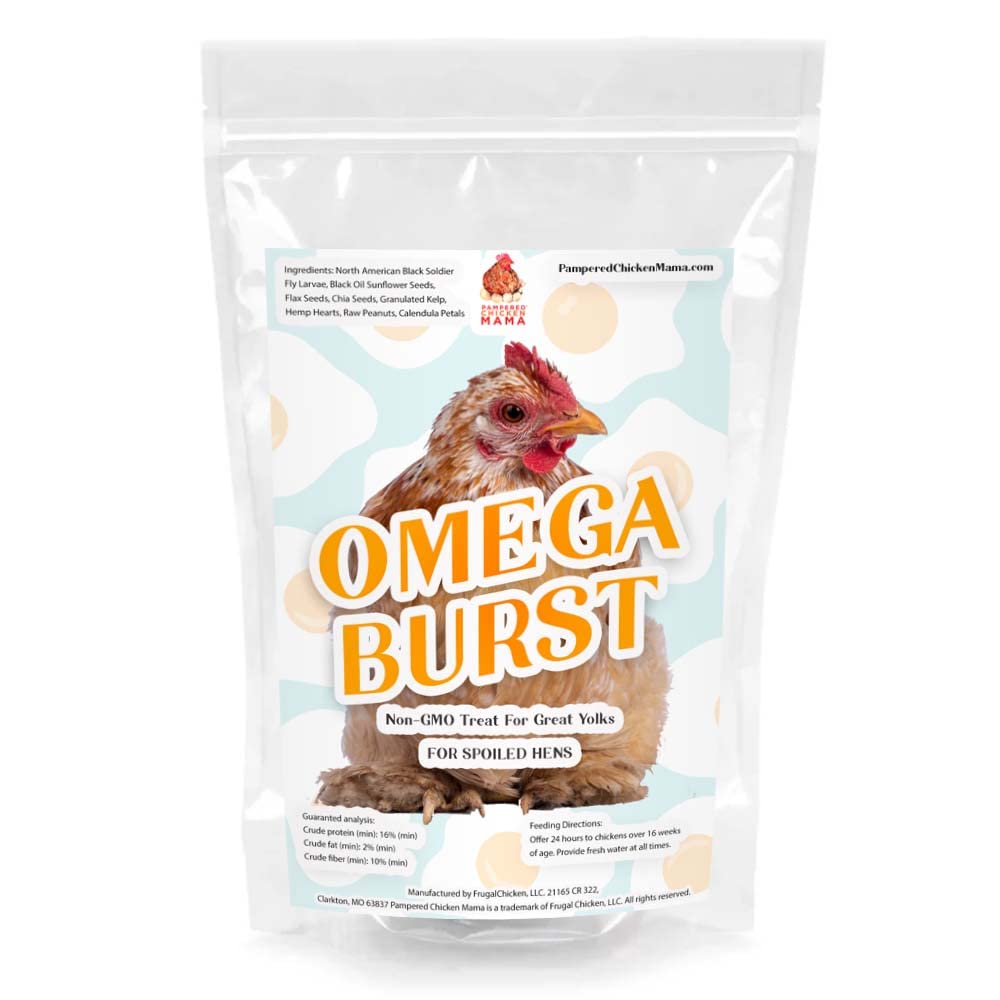 Pampered Chicken Mama Omega 3 with BSFL Chicken Feed Supplement & Duck Treat for Great Eggs - Omega Burst (8 pounds)