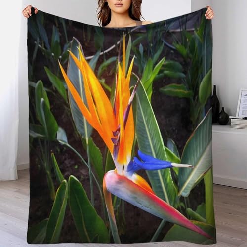 Couverture microfibre lavable en machine 150x200cm fleur de jardin - 4