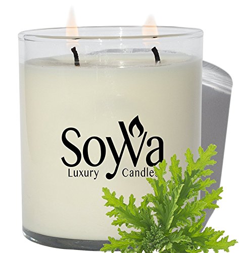 Citronella Candle by SoyVa | Freshly Scented Natural Soy Wax Candles | Luxury Double Wick Design | Hand Made in The USA, 9oz.