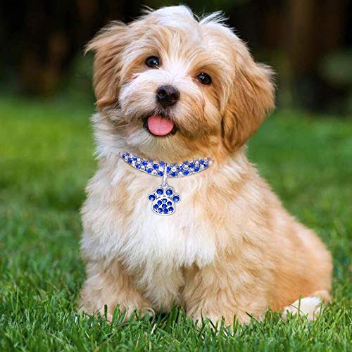 RayMinsino Haustierhalsband mit Diamanten, verstellbarer Kristalldiamant elastischer Herzklauenanhänger Hochzeitskatze und Hund kleiner Haustierhalskettenschmuck