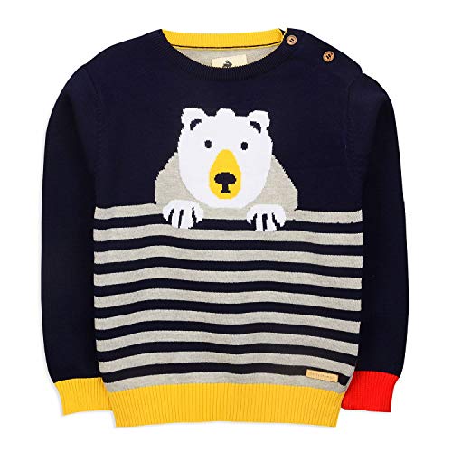 Image of The Orignal Cherry Crumble California Unisex Cherry Crumble Boy's Cotton Blend Modern Pullover Sweater (Ctws-Swtr-2160 ನೀಲಿ 2-3 Years)