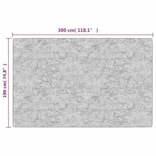 Tapis lavable 190x300 cm antidérapant résistant aux bruits