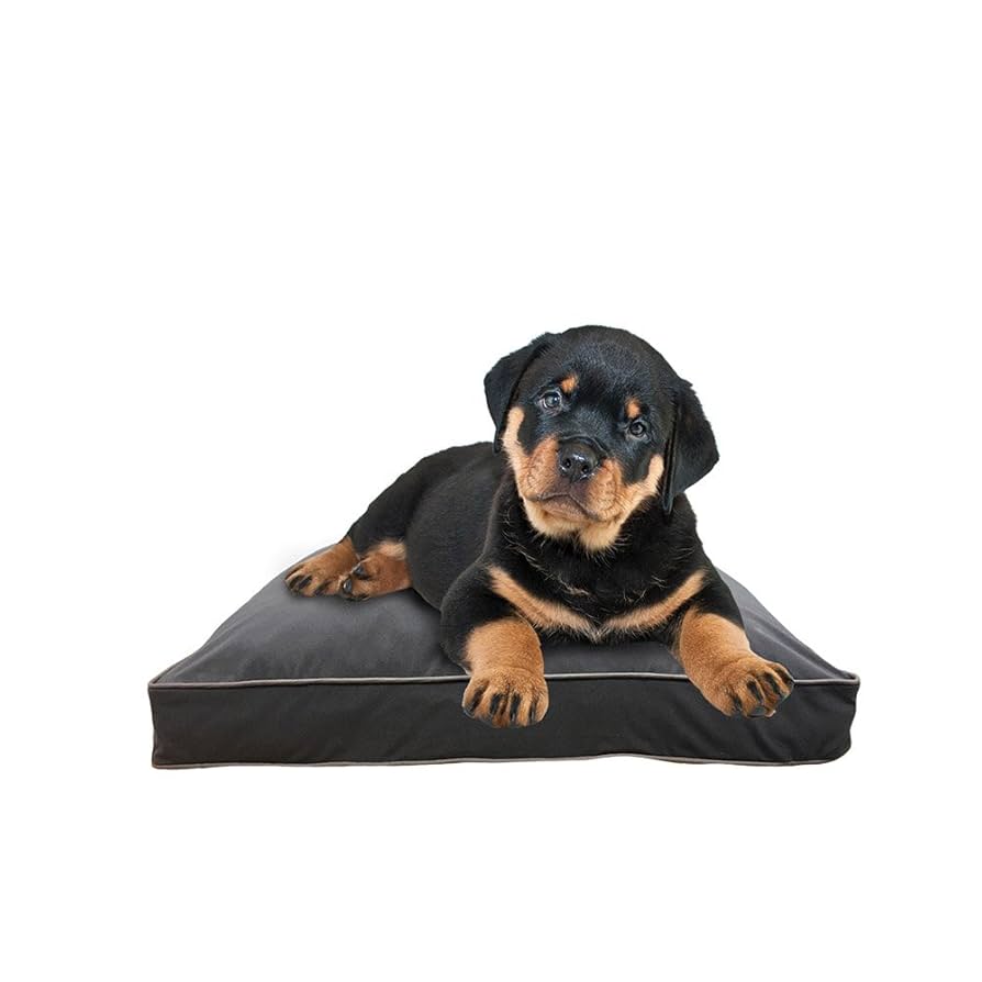 Amazon | Doggybo Mini ドギボー ミニ ダークグレー | Yogibo