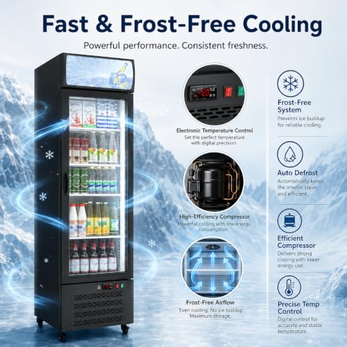 Image of Garvee Commercial Beverage Display Refrigerator 11.3Cu.Ft