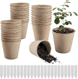 Zhiyu666 Biologisch Abbaubare 6cm Anzuchttöpfe