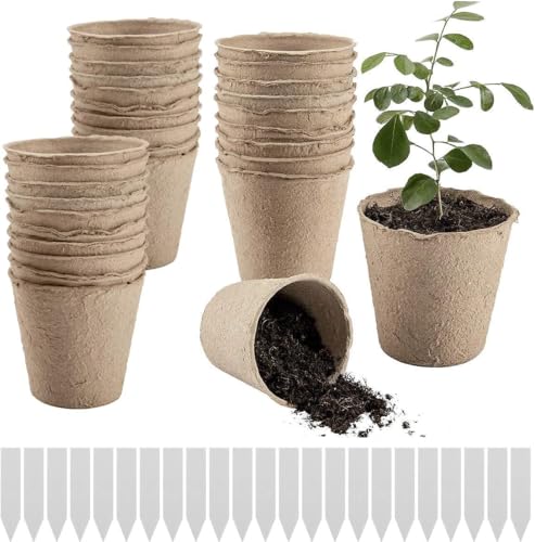 50PCS Biodegradable Plant Pots - Small Plant Pots for Seedlings Seed Pots Mini Plant & Flower Pots Root Trainers Sweet Pea Pots Deep Root Seed Trays Compostable Nursery Containers with 50 Labels