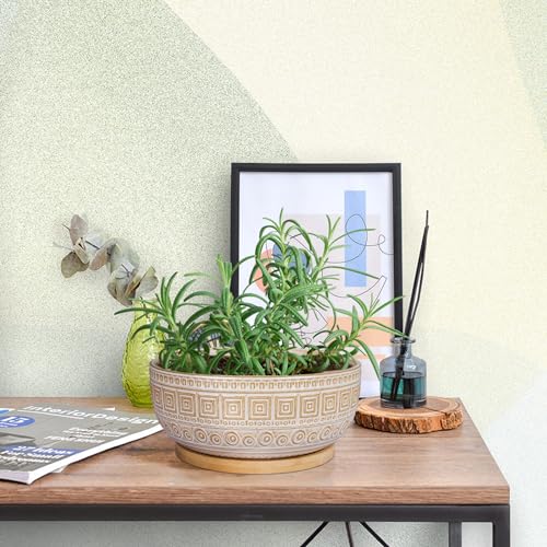 G Epgardening 19US0081 8 Inch Ceramic Succulent Planter Pots For Indoor Plants Round Shallow Bonsai Planter Pot With Drainage And Bamboo Saucer White thumb #4