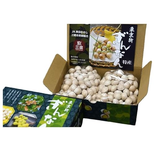 [2026年秋発送分]東京新ぎんなん(大粒) / 銀杏 ギンナン 逸品 東京都 [No.206]