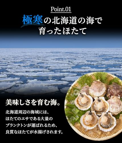 北海道きたれん ほたて 片貝 殻付き 10枚 の商品画像 2