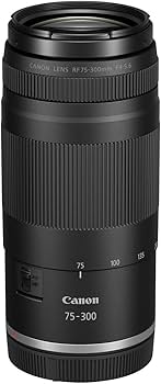 良品 Canon EF 75-300mm F4-5.6 IS USM AA332 canon-ef-75-300mm-f4-