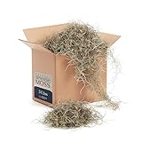 Royal Imports Preserved Natural Spanish Moss, Fresh Dried Shredded Loose Chunks, 3 LB Bulk Case
