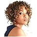QianBaiHui Short Kinky Curly Wigs for Black Women - American African Women's Wig Heat Resistant Synthetic Hair Fashion Full Wigs (blonde)