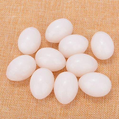 Grow Basket False Dummy Fake Pigeon (10 Eggs) For Hatch Incubation Breeding Pigeon Hatching Supplies Simulation For Hatch Breeding - Adult (B0BPTJF8MK) Amazon Price History, Amazon Price Tracker