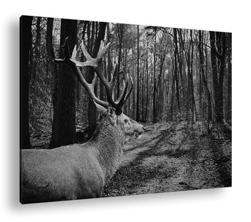 Tableau cerf dans la forêt noir et blanc 90 x 60 cm pour sublimer votre salon moderne