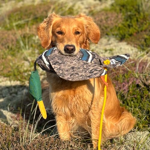 Sporting Saint Dead Bird Entendummy Pro – Realistischer Apportierdummy Ente, ca. 700g, schwimmfähig, mit Flügeln & Wurfschnur, für Dummytraining & Jagdhundetraining