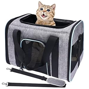 Tragetasche für Katzen, von Fluggesellschaften zugelassen, TSA-zugelassen, weiche Seiten, für kleine und mittelgroße Katzen