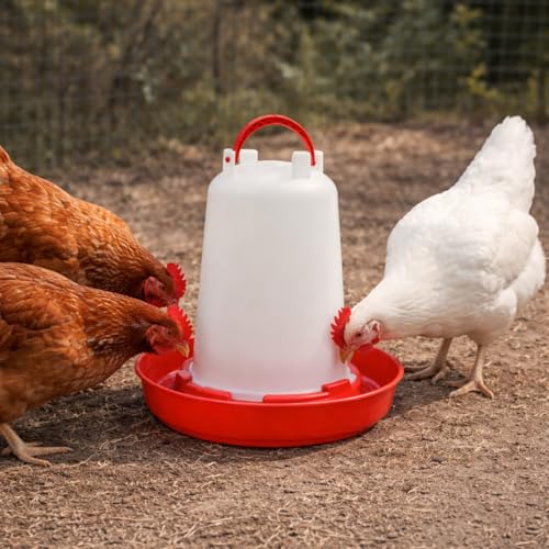 OLBA Abreuvoir plastique 1,5 litres poussin, caille, poule