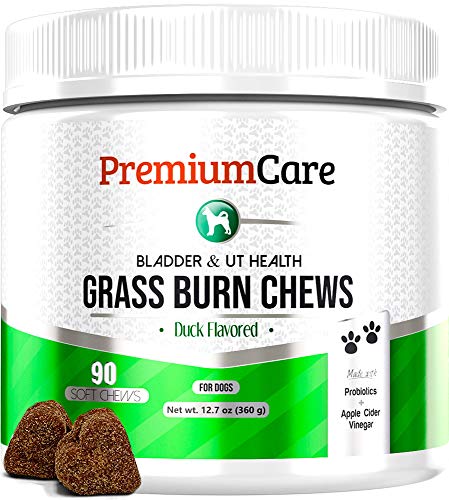 PREMIUM CARE Grass Burn Spot Chews for Dogs - Made in USA - Dog Pee Lawn Spot Saver Treatment Caused by Dog Urine - Cranberry, Apple Cider Vinegar, DL-Methionine Grass Saver Treatment for Dogs Rocks