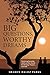 Big Questions, Worthy Dreams: Mentoring Emerging Adults in Their Search for Meaning, Purpose, and Faith